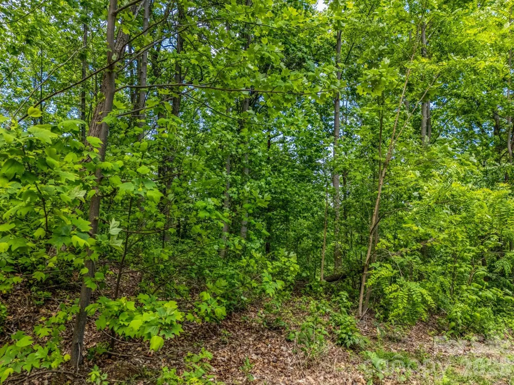 0 Ragans Pointe #31 Columbus, NC 28722