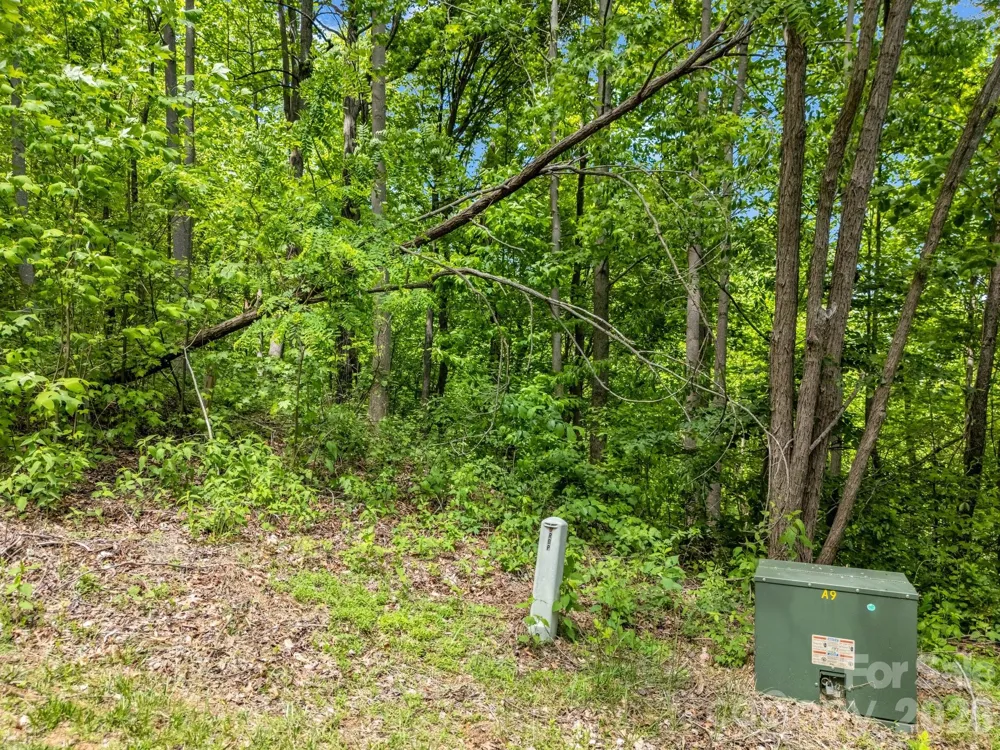 0 Ragans Pointe #31 Columbus, NC 28722