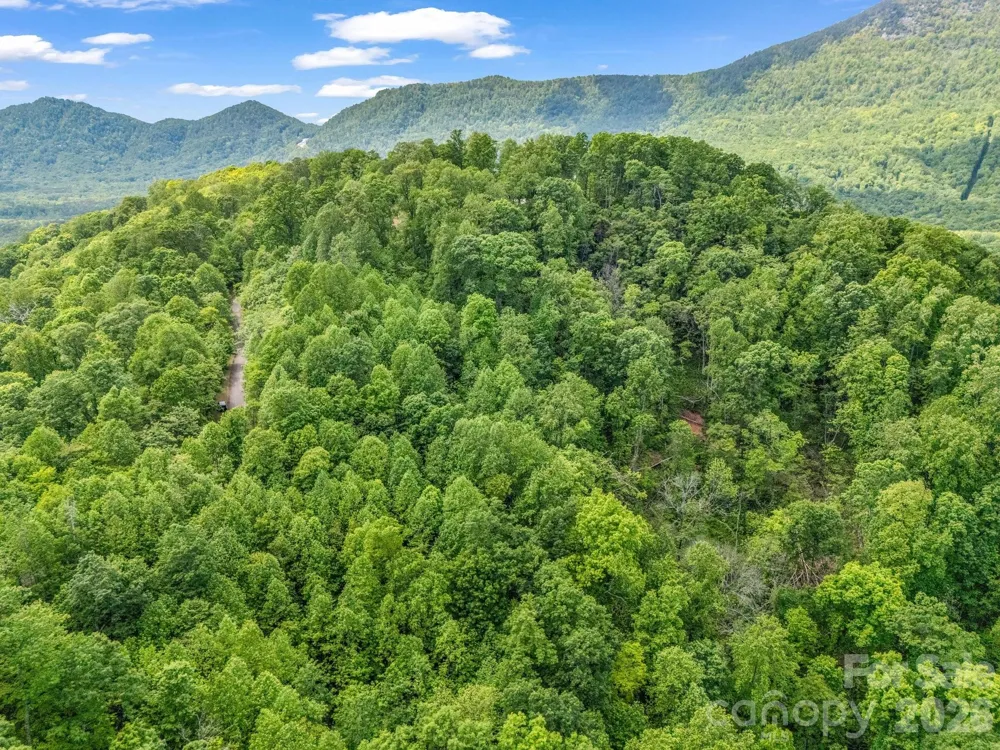 0 Ragans Pointe #31 Columbus, NC 28722