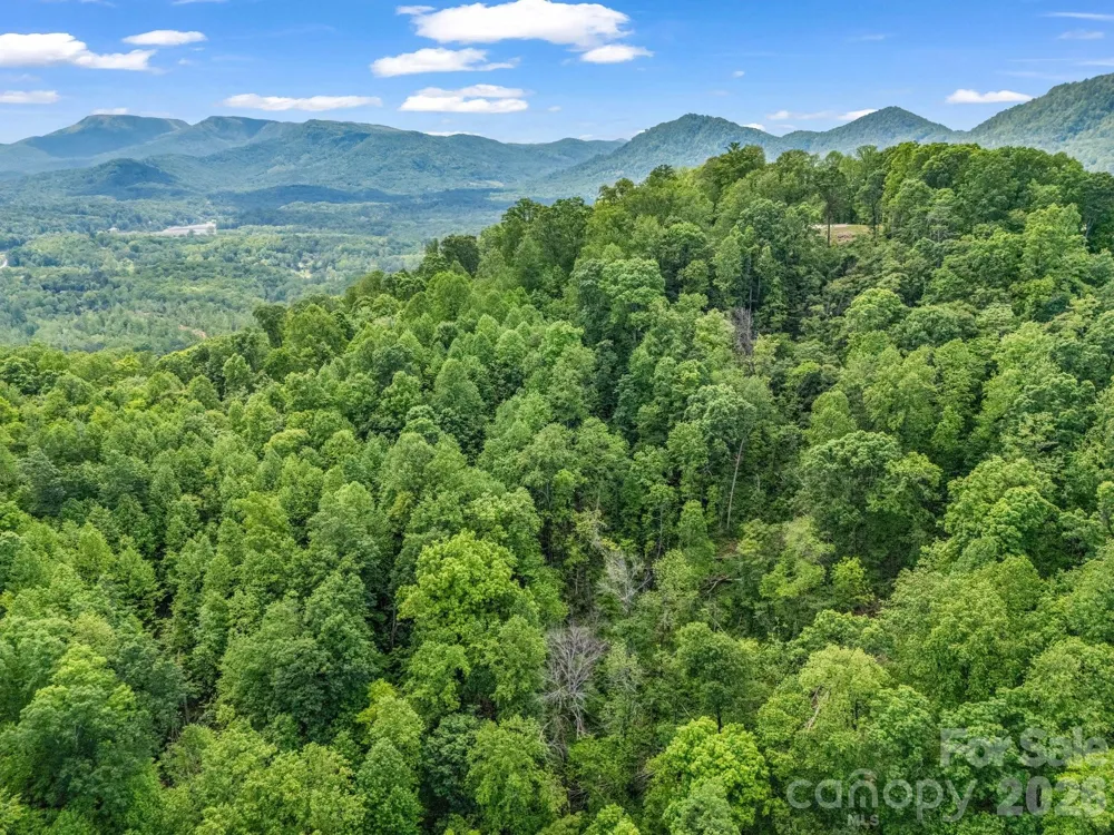 0 Ragans Pointe #31 Columbus, NC 28722