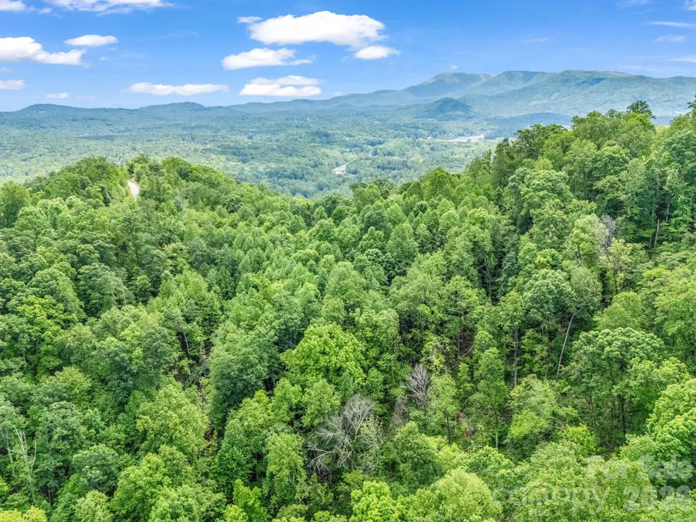 0 Ragans Pointe #31 Columbus, NC 28722