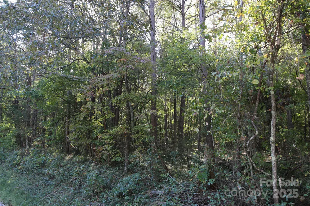 0 Tobas Road Rockwell, NC 28138