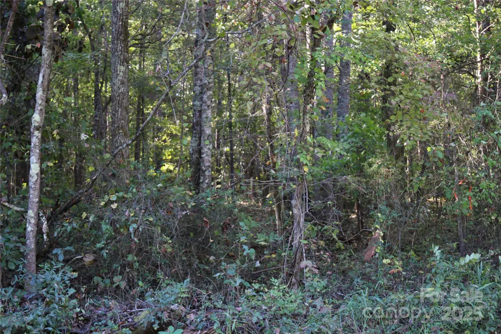 0 Tobas Road Rockwell, NC 28138