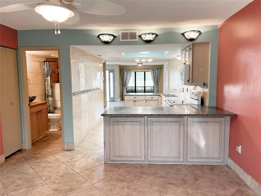 1849 ABRICO DRIVE #K9 Lutz, FL 33558