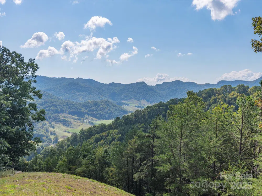 0 Clark Road Clyde, NC 28721