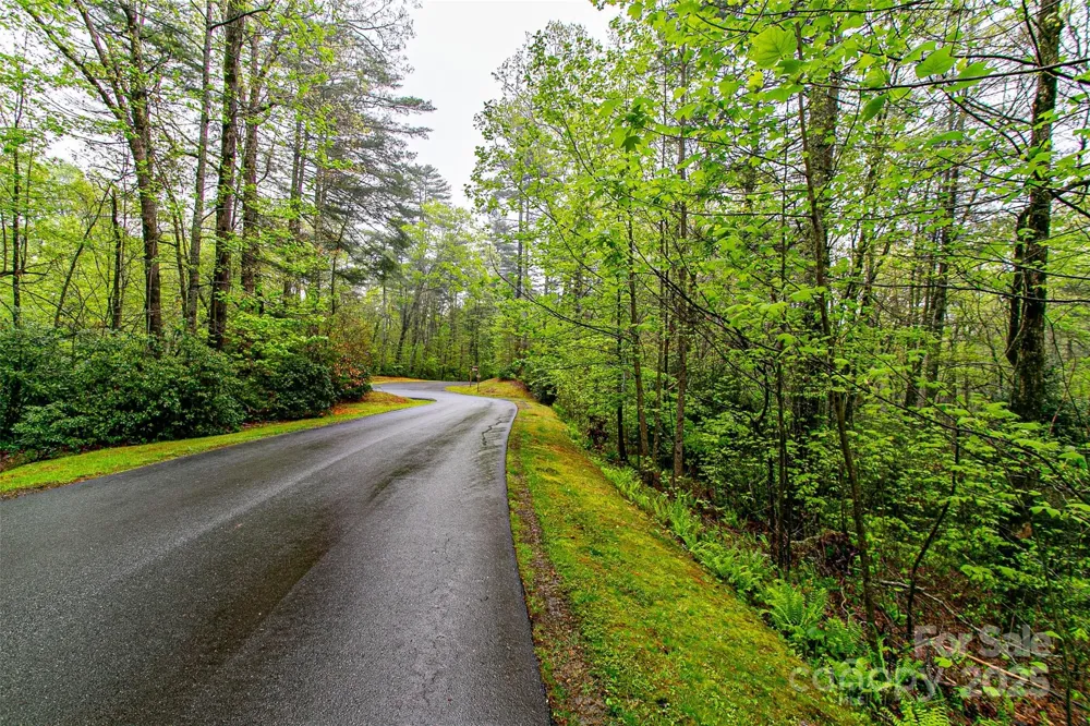 TBD High Hemlock Trail #46 Brevard, NC 28712