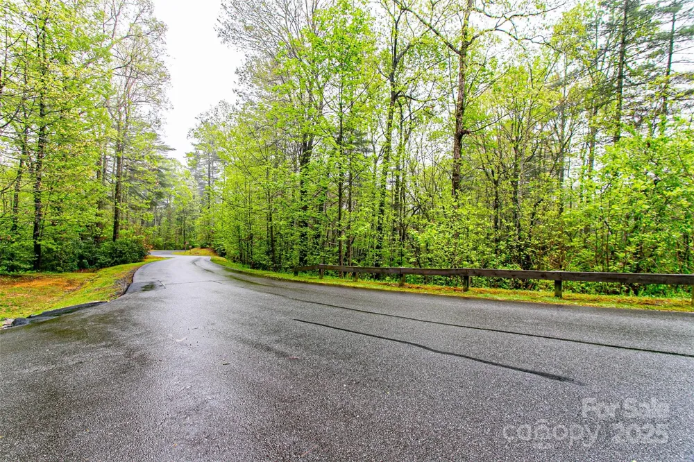 TBD High Hemlock Trail #46 Brevard, NC 28712