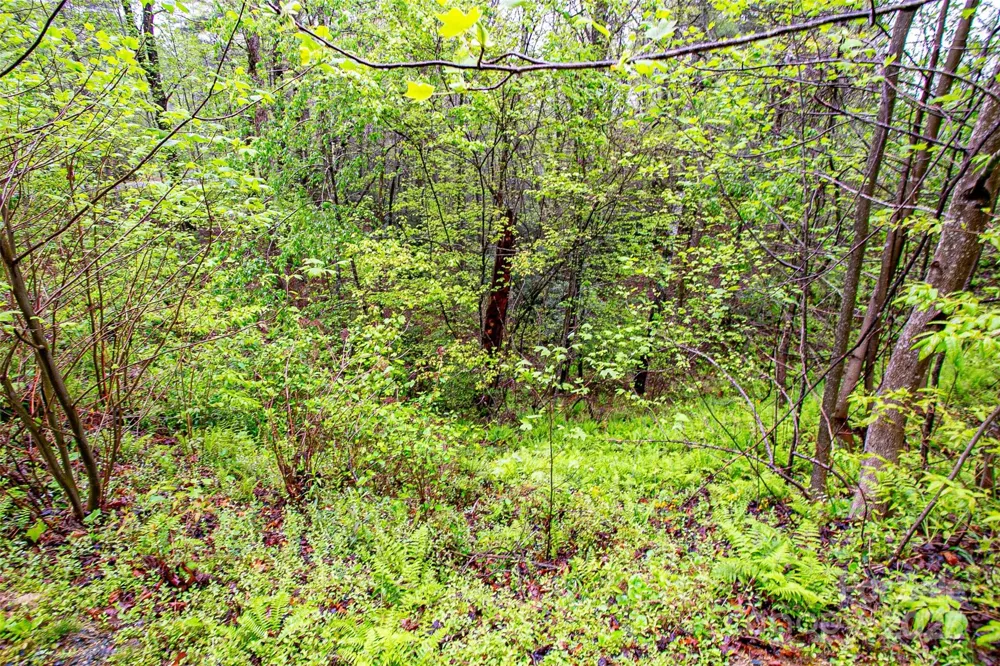 TBD High Hemlock Trail #46 Brevard, NC 28712