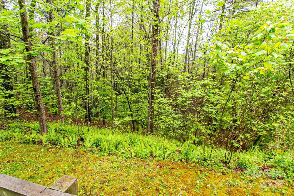 TBD High Hemlock Trail #46 Brevard, NC 28712