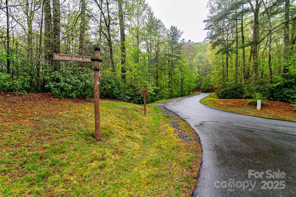 TBD High Hemlock Trail #46 Brevard, NC 28712