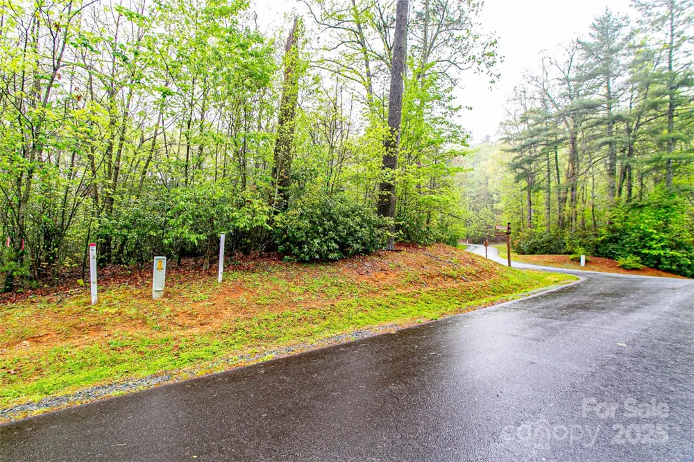 TBD High Hemlock Trail #46 Brevard, NC 28712