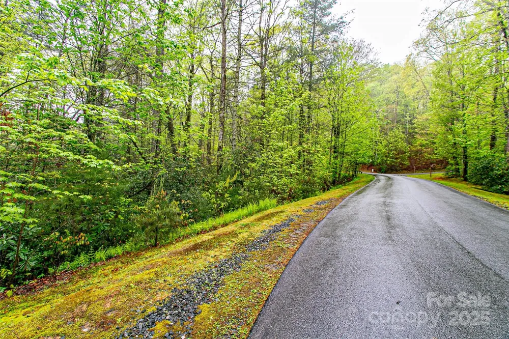 TBD High Hemlock Trail #46 Brevard, NC 28712