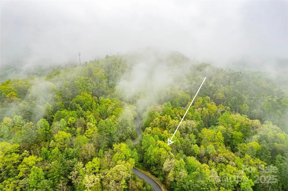 TBD High Hemlock Trail #46 Brevard, NC 28712