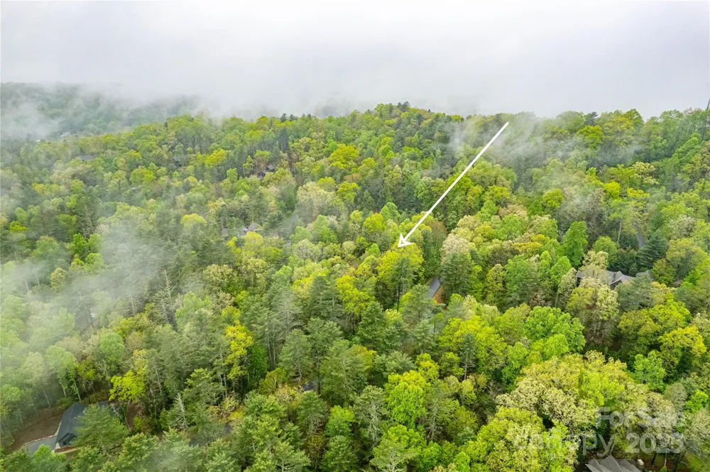 TBD High Hemlock Trail #46 Brevard, NC 28712