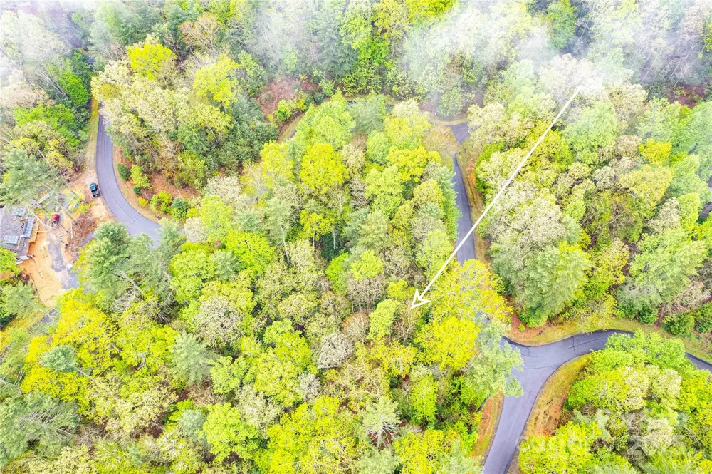TBD High Hemlock Trail #46 Brevard, NC 28712