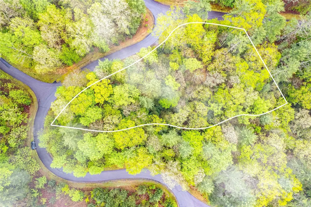 TBD High Hemlock Trail #46 Brevard, NC 28712
