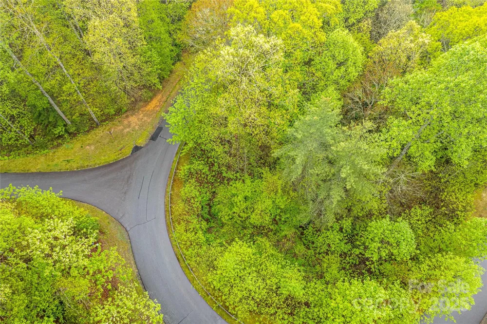 TBD High Hemlock Trail #46 Brevard, NC 28712