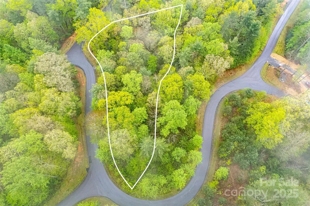 TBD High Hemlock Trail #46 Brevard, NC 28712
