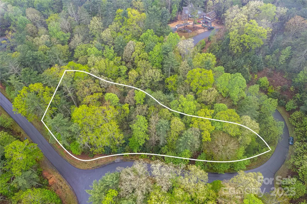 TBD High Hemlock Trail #46 Brevard, NC 28712