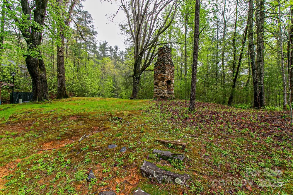 TBD High Hemlock Trail #46 Brevard, NC 28712
