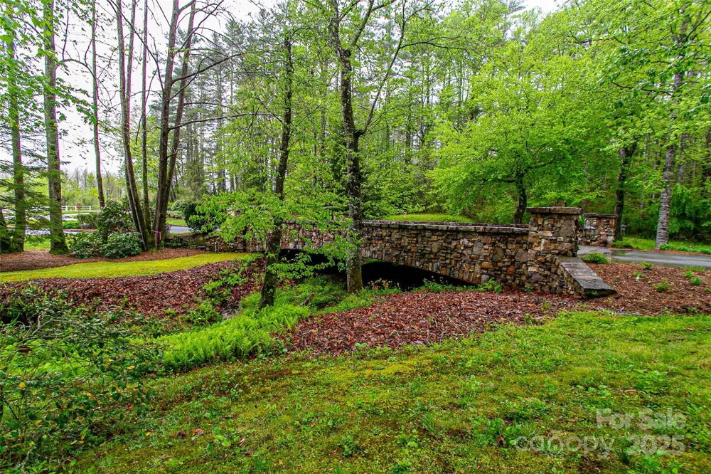 TBD High Hemlock Trail #46 Brevard, NC 28712