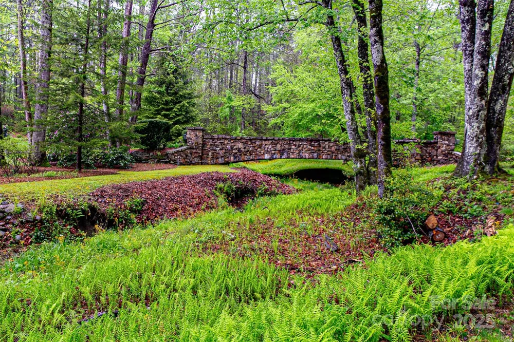 TBD High Hemlock Trail #46 Brevard, NC 28712