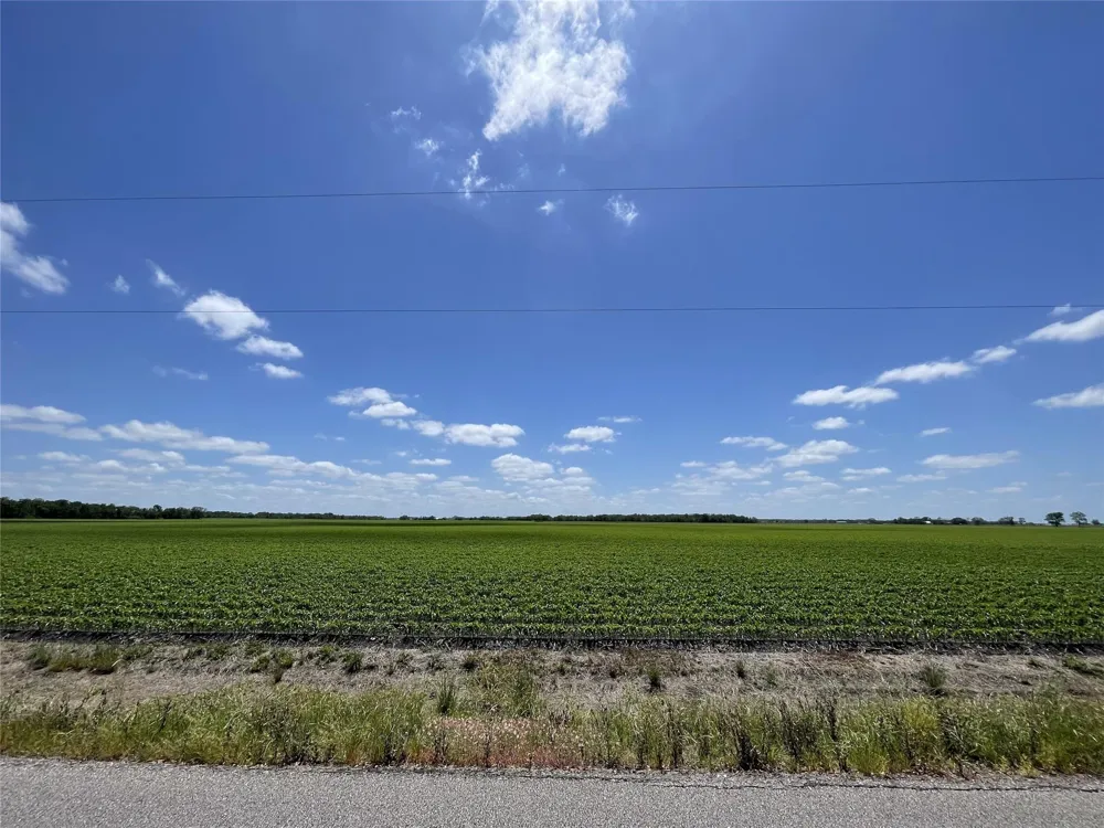 Schultz Road Damon, TX 77430