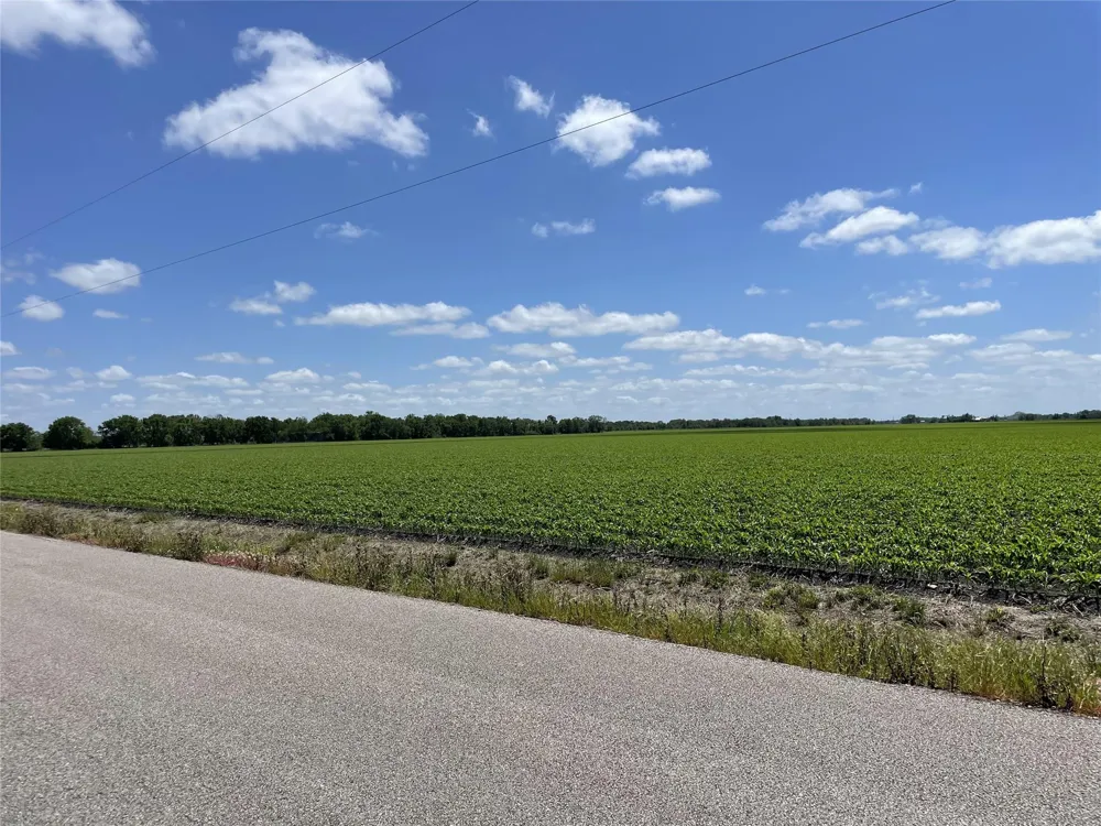 Schultz Road Damon, TX 77430