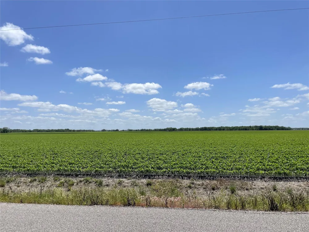 Schultz Road Damon, TX 77430