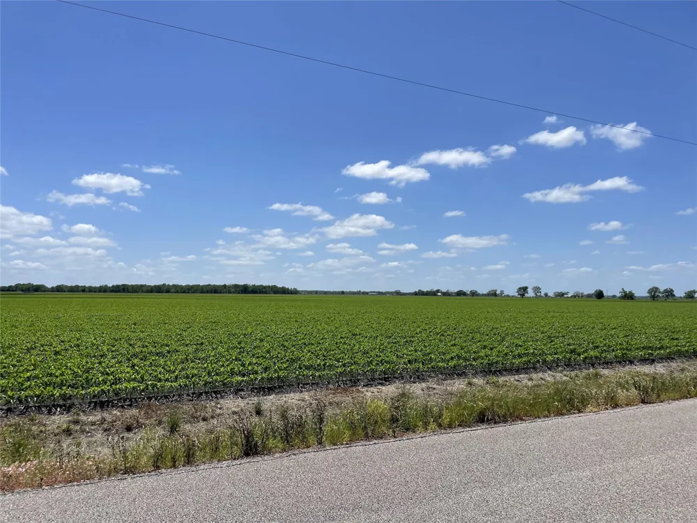 Schultz Road Damon, TX 77430