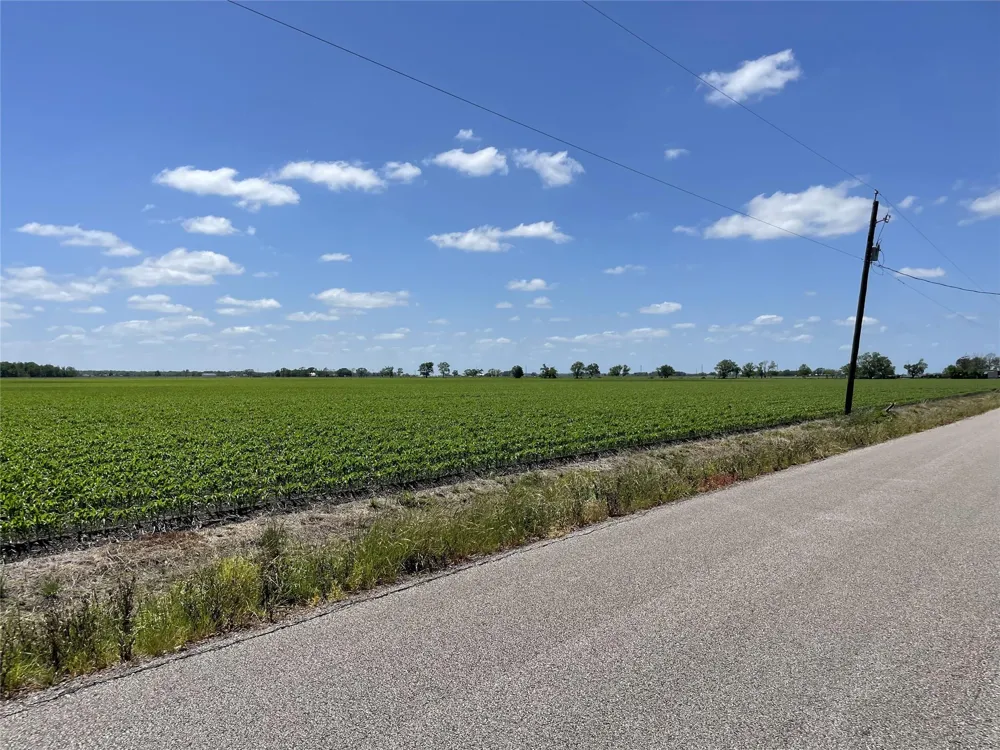 Schultz Road Damon, TX 77430