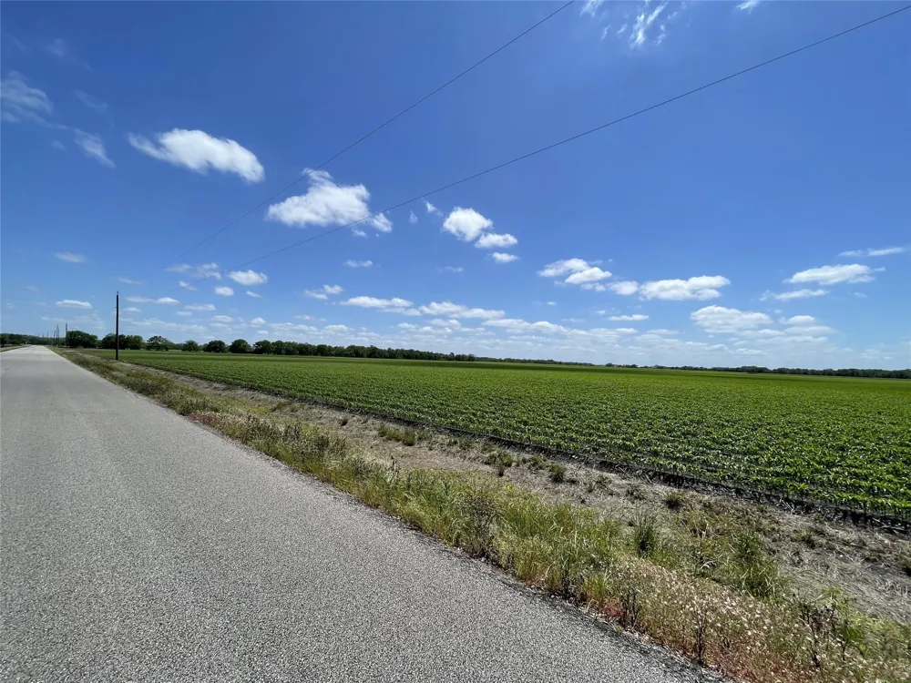 Schultz Road Damon, TX 77430