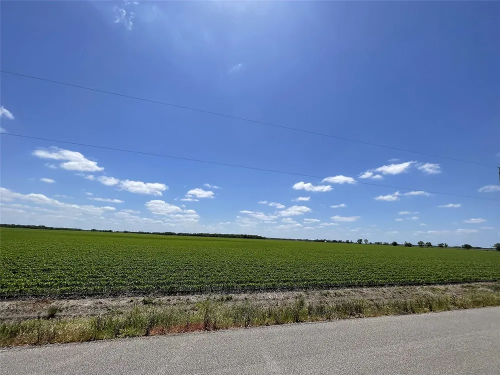 Schultz Road Damon, TX 77430