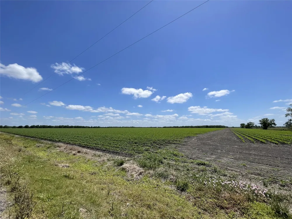 Schultz Road Damon, TX 77430