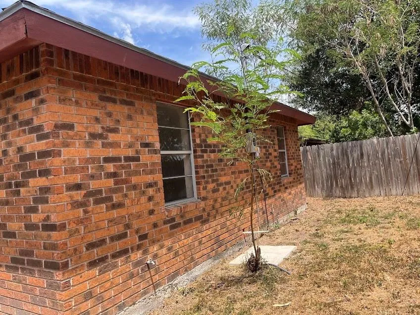 825 Tichenor Lane La Feria, TX 78559
