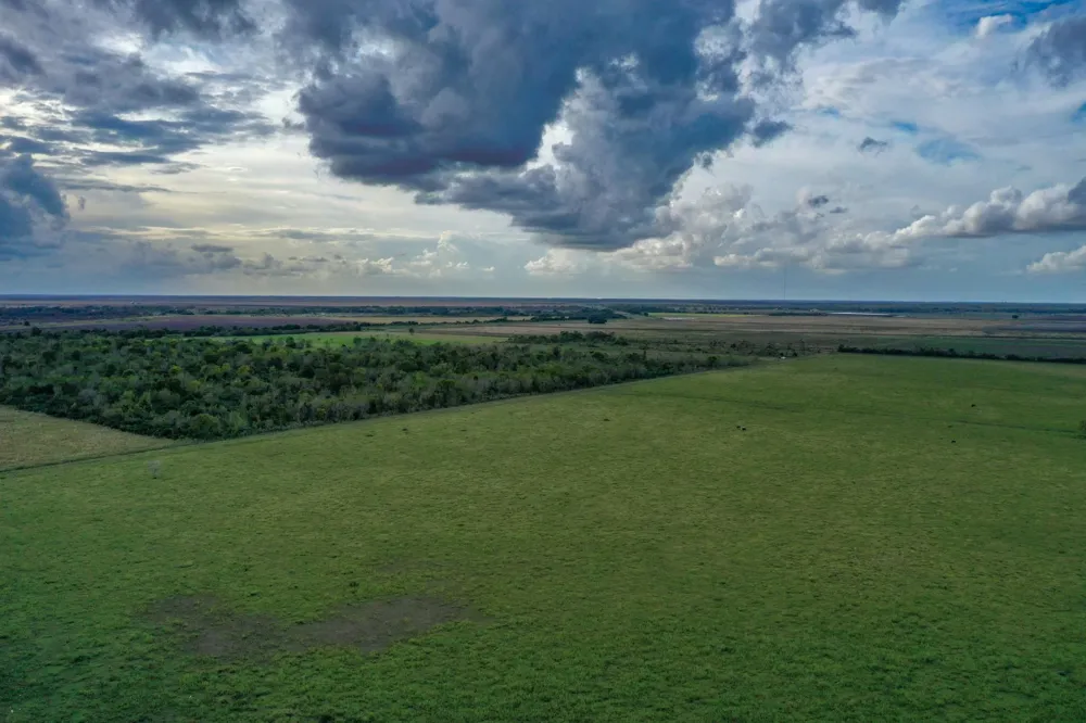 Boswick Liverpool, TX 77577