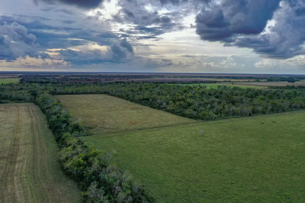 Boswick Liverpool, TX 77577