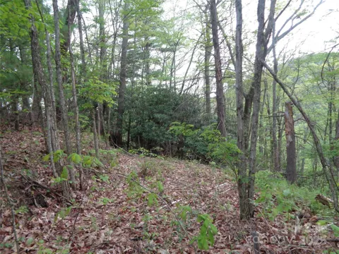 00 Promiseland Road