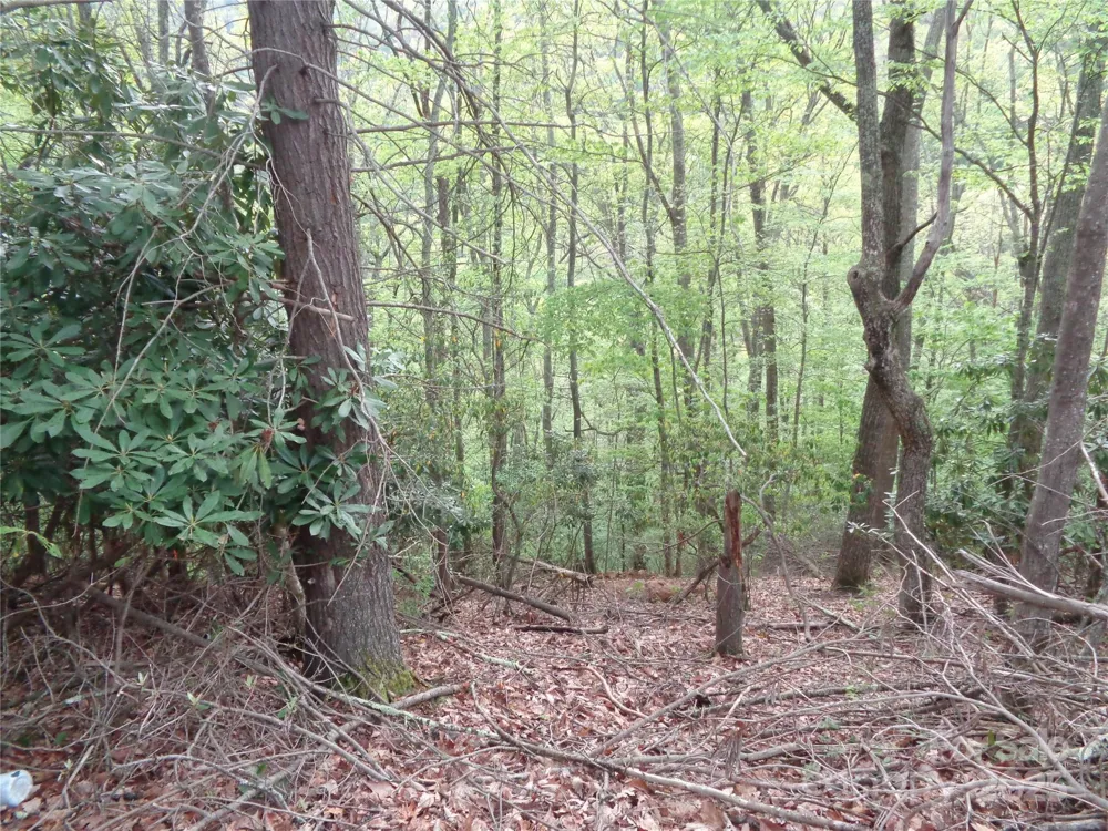 00 Promiseland Road Canton, NC 28716