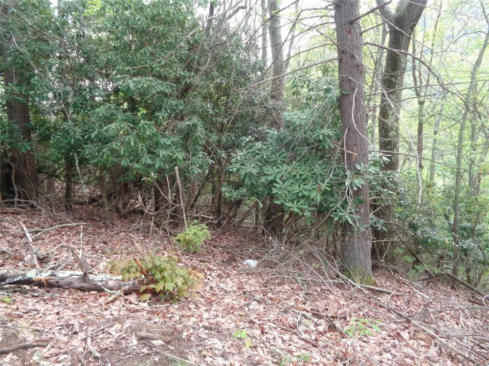 00 Promiseland Road Canton, NC 28716
