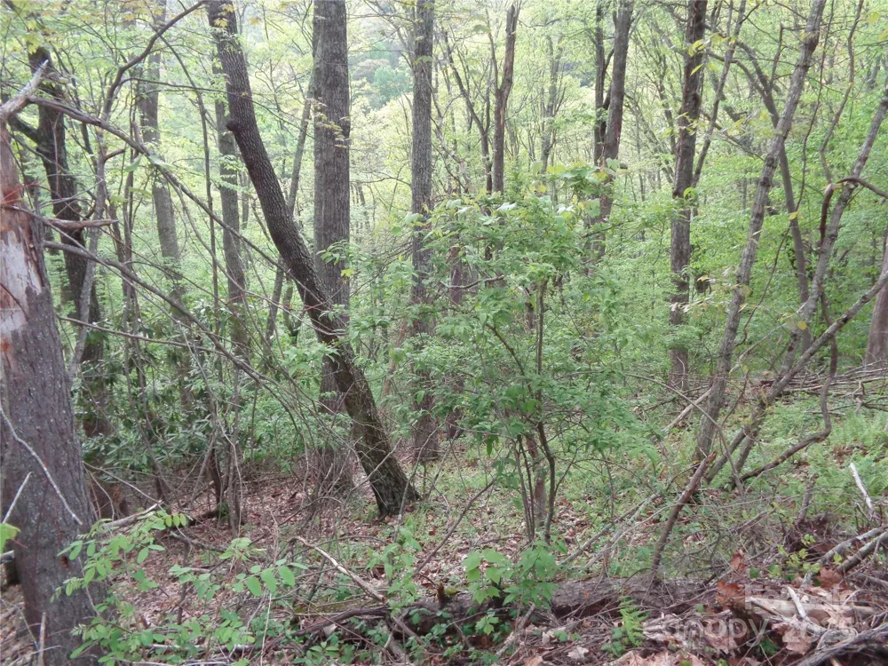 00 Promiseland Road Canton, NC 28716