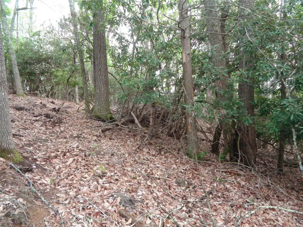 00 Promiseland Road Canton, NC 28716