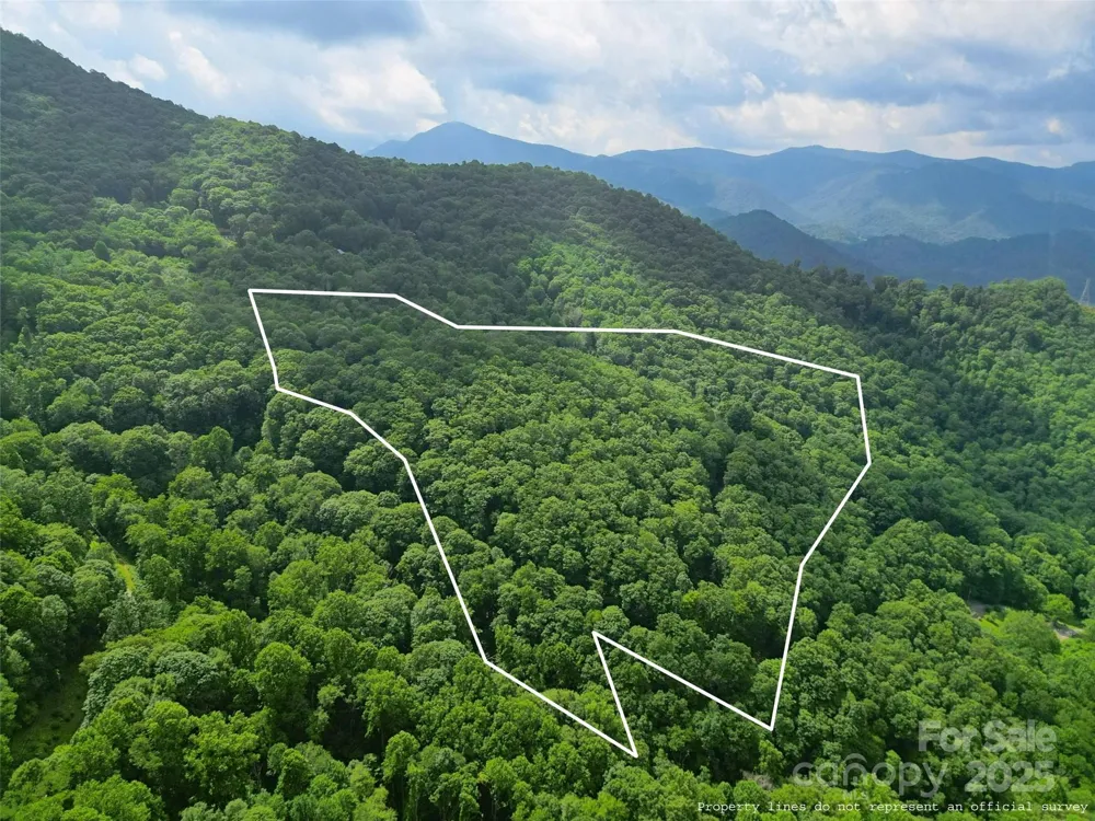 00 Promiseland Road Canton, NC 28716