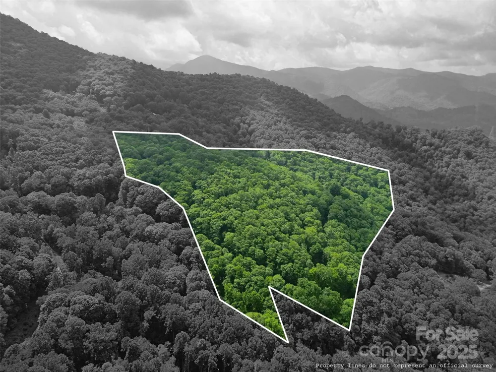 00 Promiseland Road Canton, NC 28716
