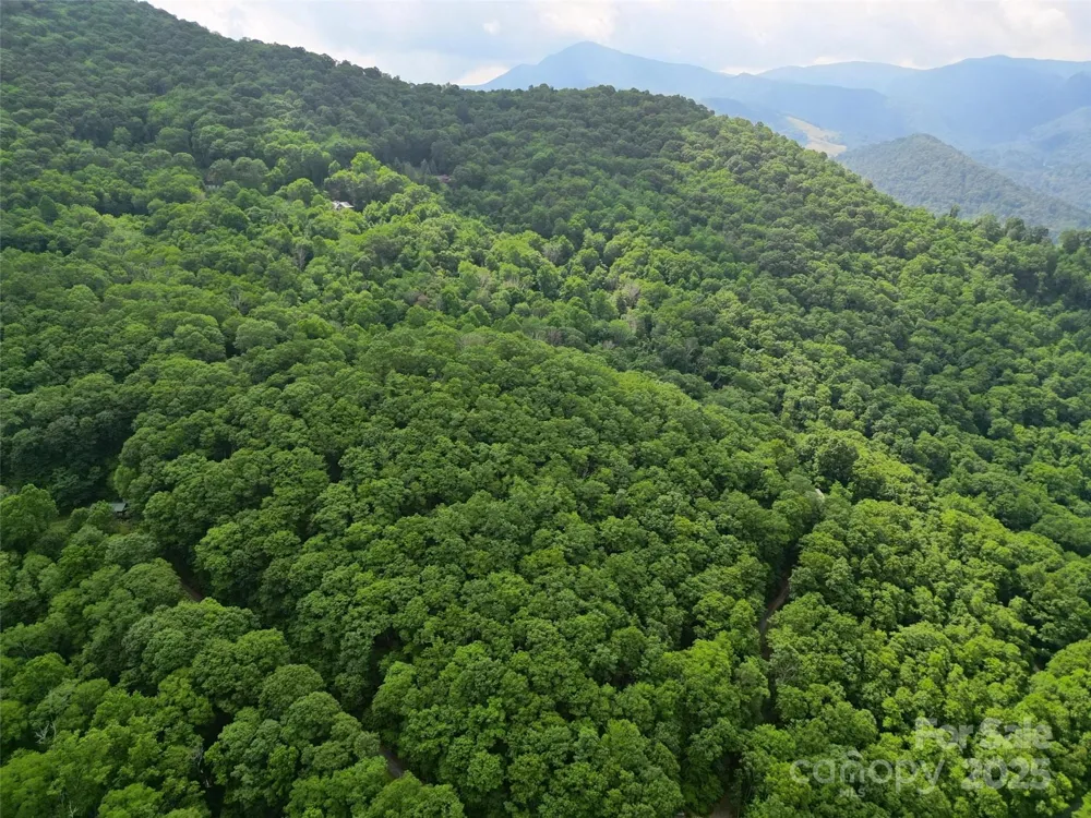 00 Promiseland Road Canton, NC 28716