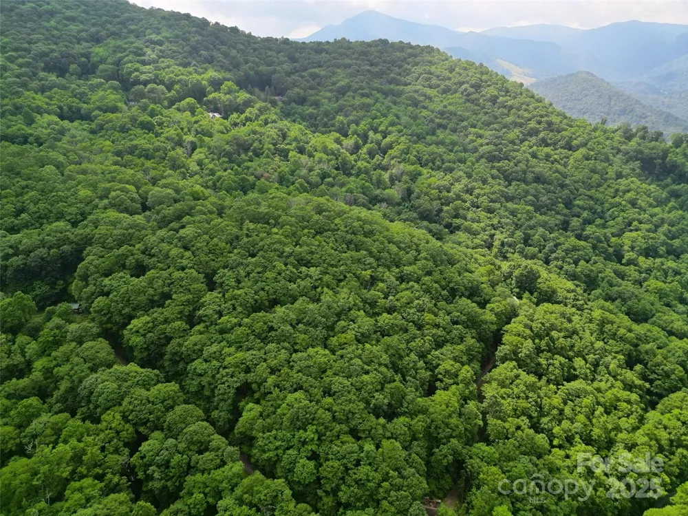 00 Promiseland Road Canton, NC 28716