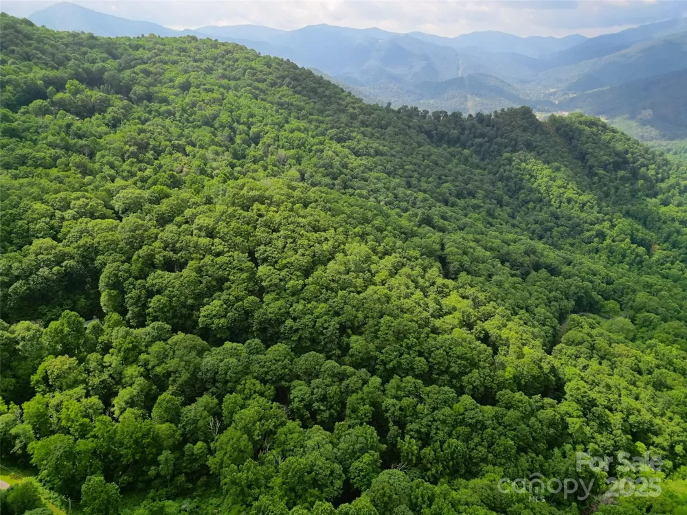 00 Promiseland Road Canton, NC 28716