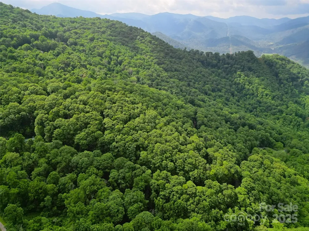 00 Promiseland Road Canton, NC 28716