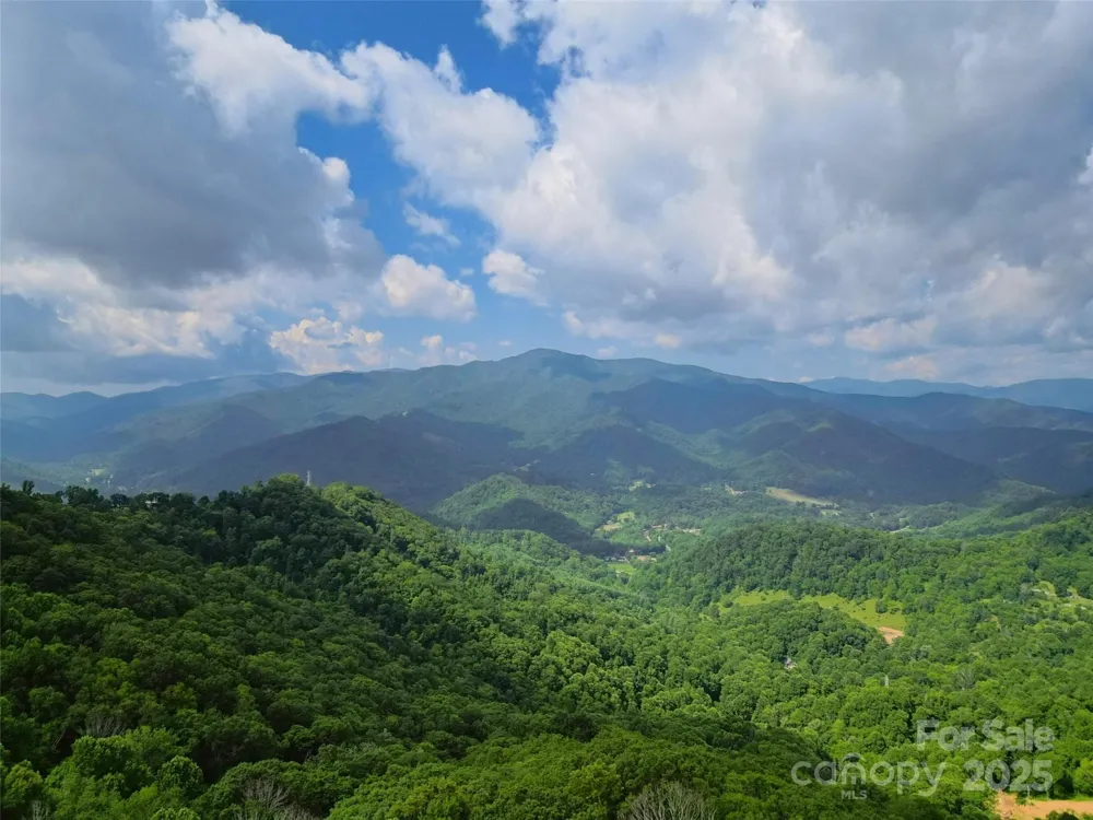 00 Promiseland Road Canton, NC 28716