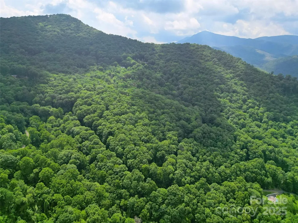 00 Promiseland Road Canton, NC 28716